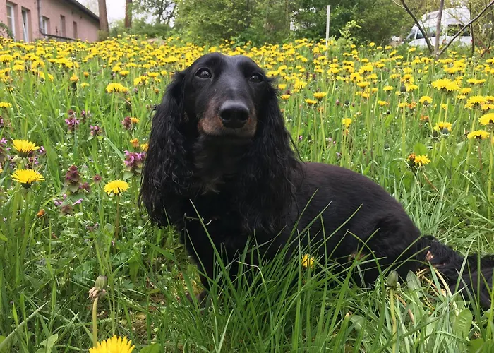 Altglobsow/ Cafe Seeblick Hotel