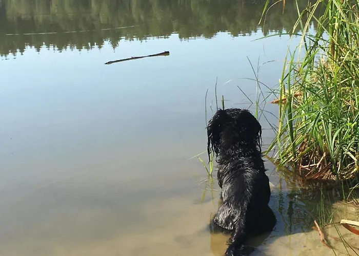 Altglobsow/ Cafe Seeblick Grosswoltersdorf